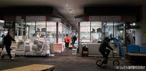 疫情寒流席卷豐洲市場 全球最大水產樞紐日均交易銳減三成的背后
